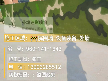 湘潭 迷彩漆喷涂价格（按平方米计费）